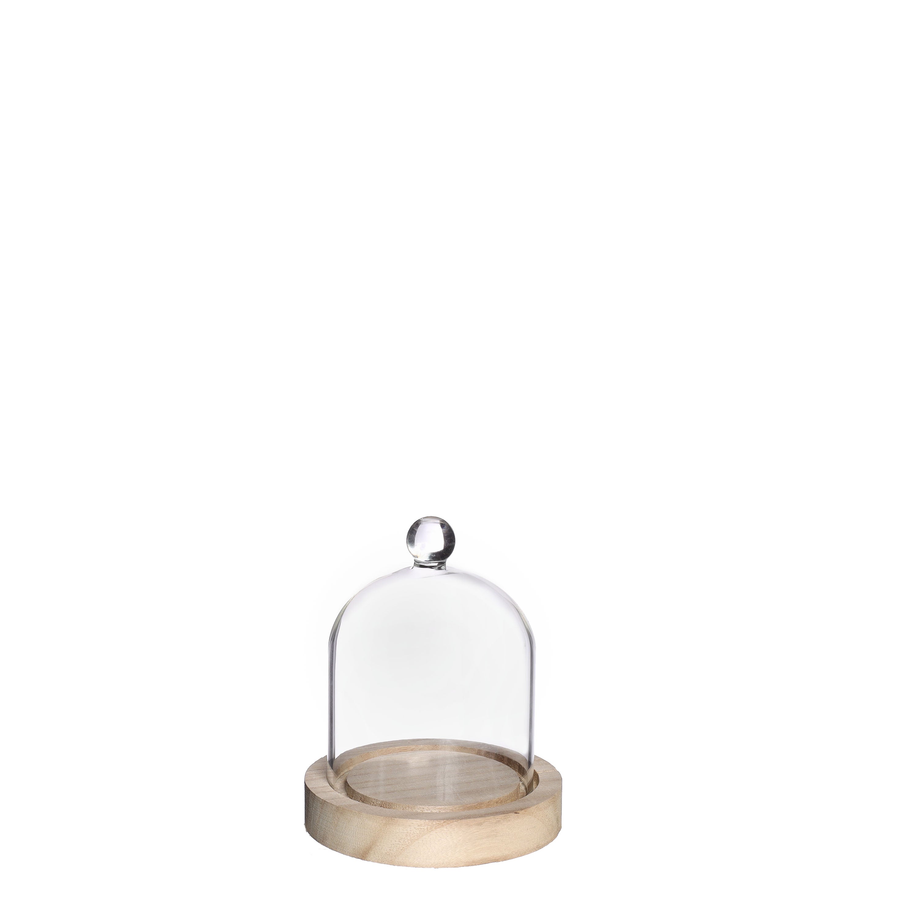 Glass dome with knob and wood base Ø10 h.12 cm (1 pc)