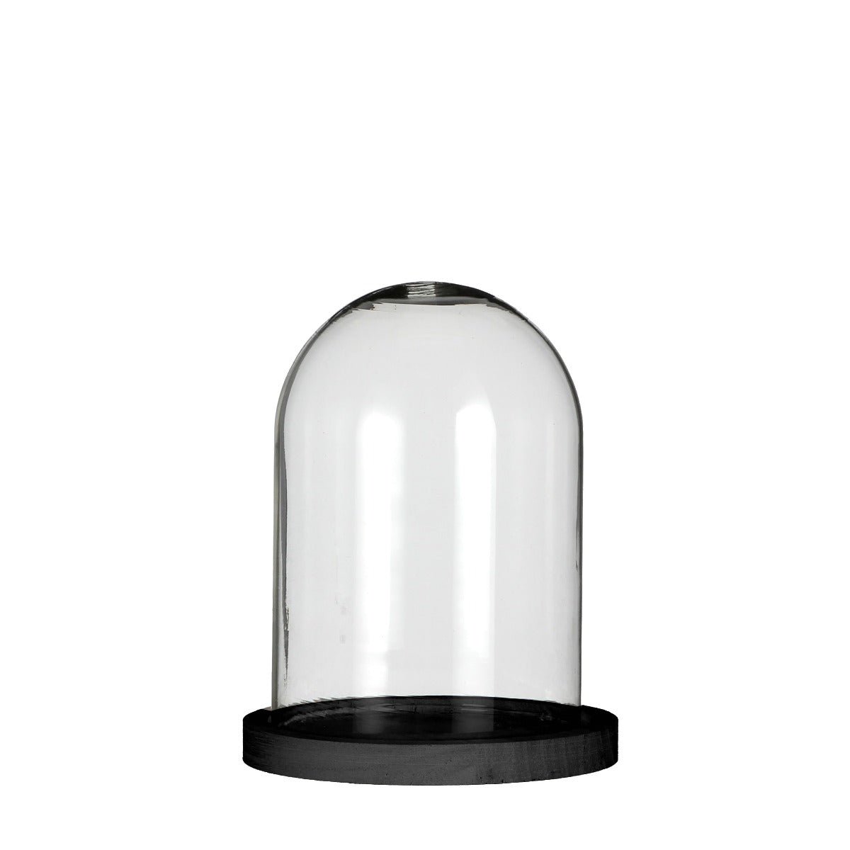 Glass bell jar with black wooden base Ø12cm H:16 cm (1 pcs.)