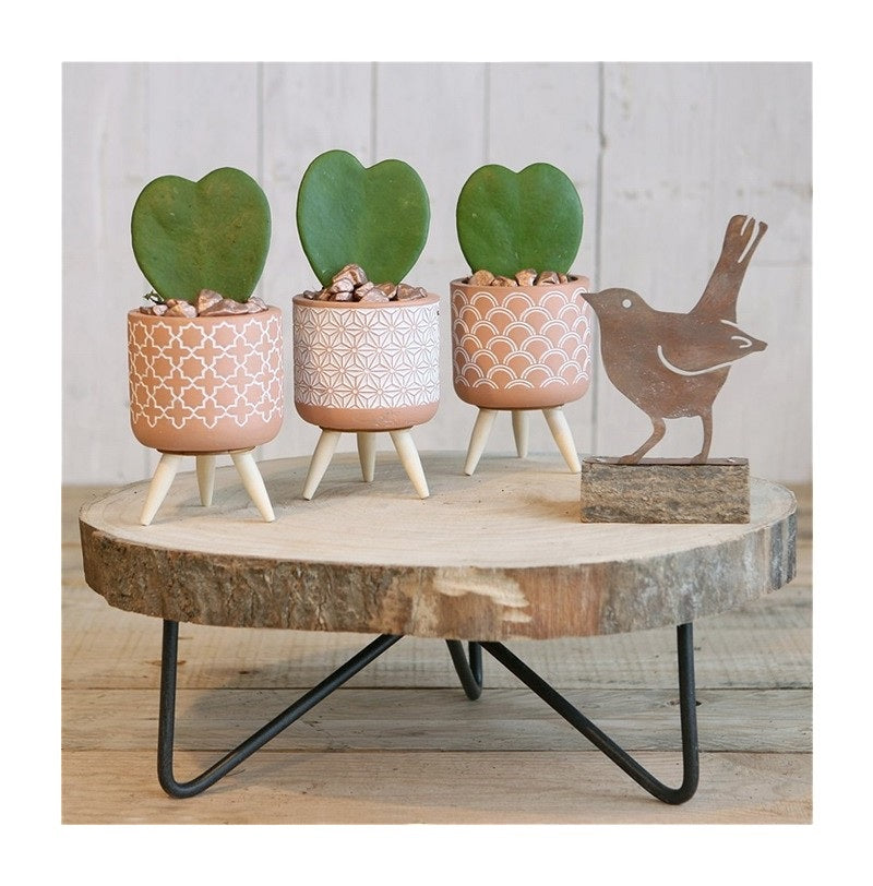 Plant pot Terra cement with wooden legs 11cm high (6 pcs.)