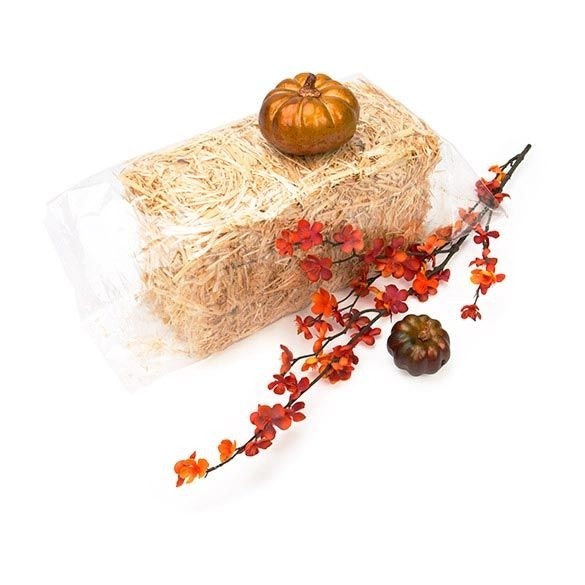 Plastic Bags 30.5x45.7cm Clear Polypropylene