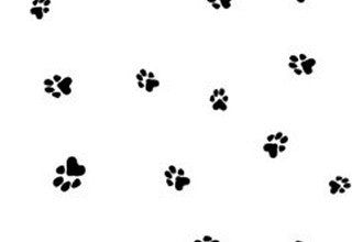 Printed Bags Paws 12.7x7.6x29.2cm with side gusset
