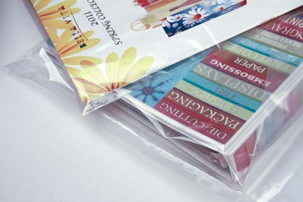 Plastic Bags 7.6x30.5cm LDPE 40 micron