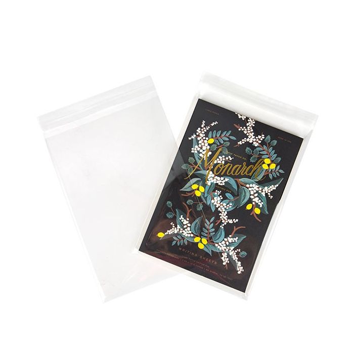 Plastic Bags 21.3x30.3cm Transparent and reclosable (100 pcs)