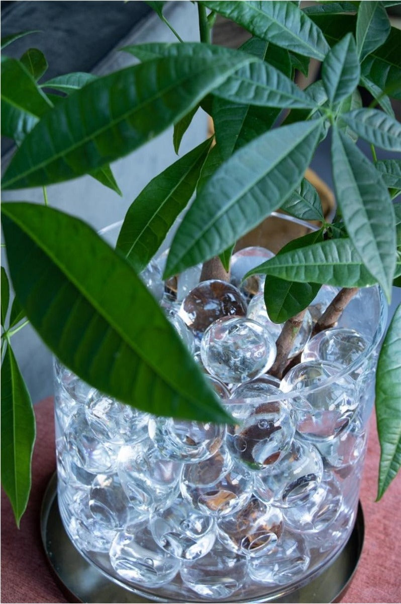 palle d'acqua grandi 20 Pcs dia 40-50 mm (1 box) [IFS-10325]