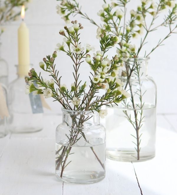 Vaso in vetro alto 10cm Ø 7cm (vassoio con 24 pezzi) [IFS-129194]