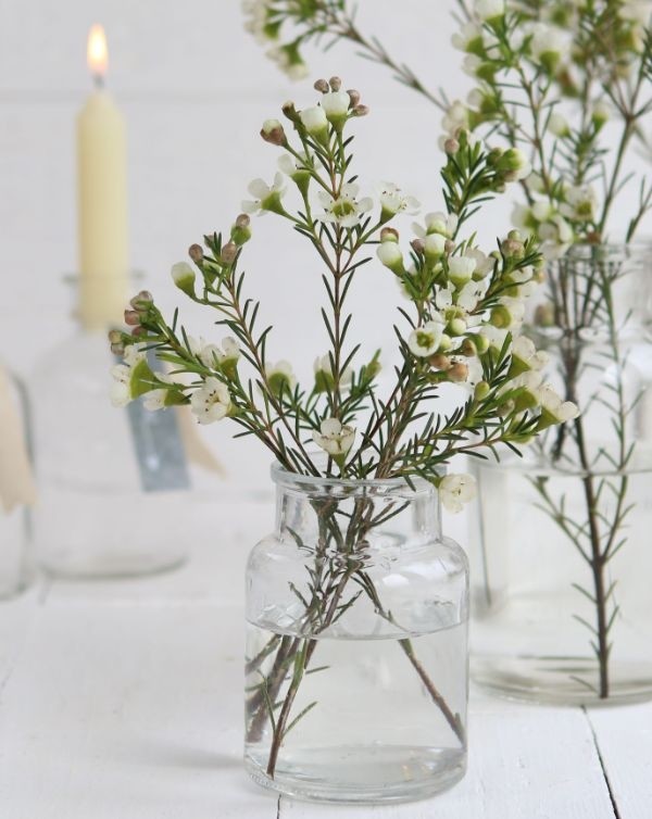 Vaso in vetro alto 10cm Ø 7cm (vassoio con 24 pezzi) [IFS-129194]