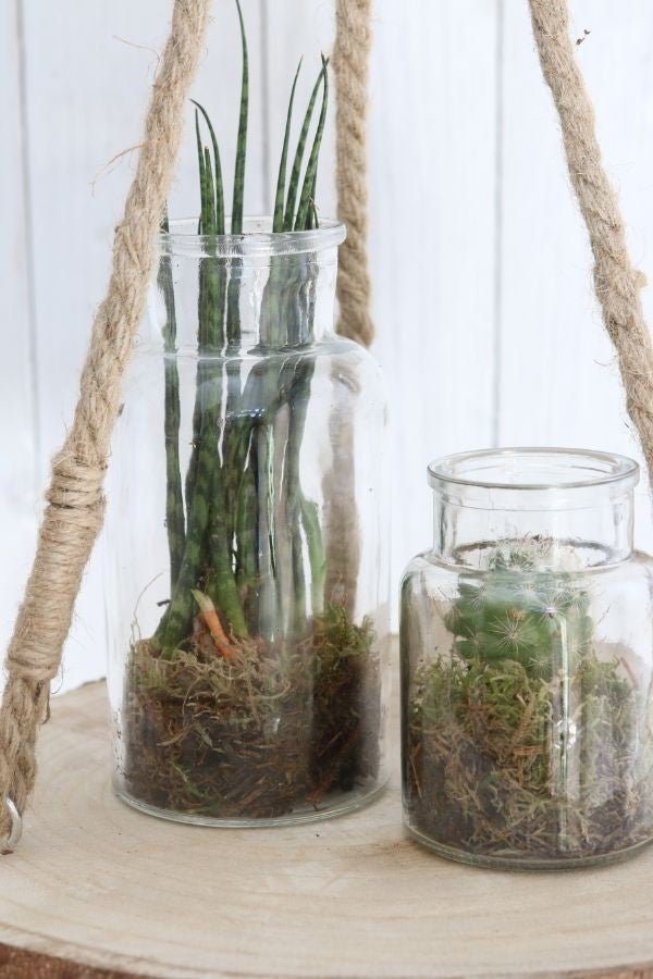 Vaso in vetro alto 16cm Ø 8cm (vassoio con 12 pezzi) [IFS-129195]