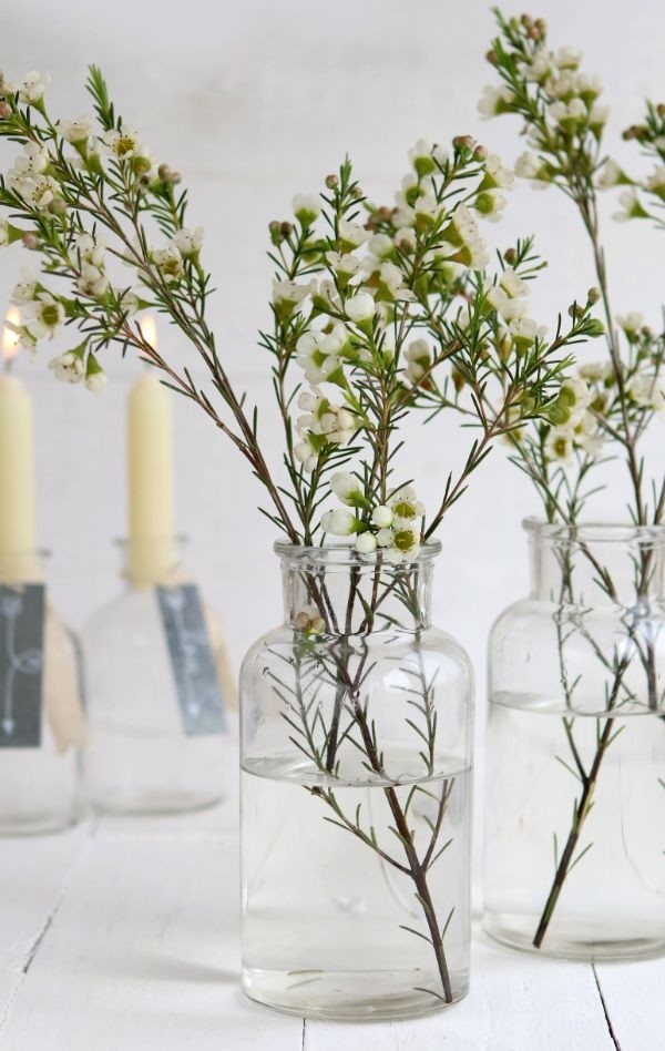 Vaso in vetro alto 16cm Ø 8cm (vassoio con 12 pezzi) [IFS-129195]