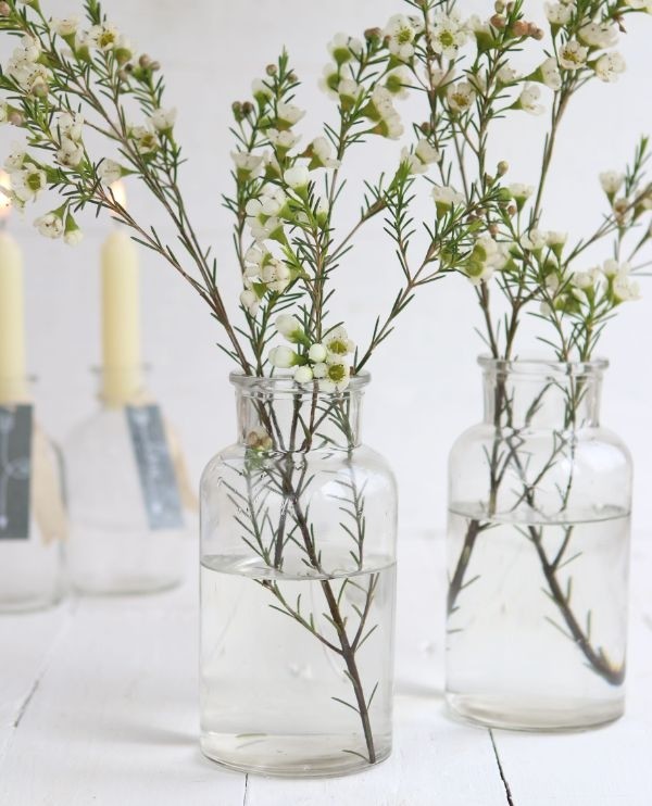 Vaso in vetro alto 16cm Ø 8cm (vassoio con 12 pezzi) [IFS-129195]