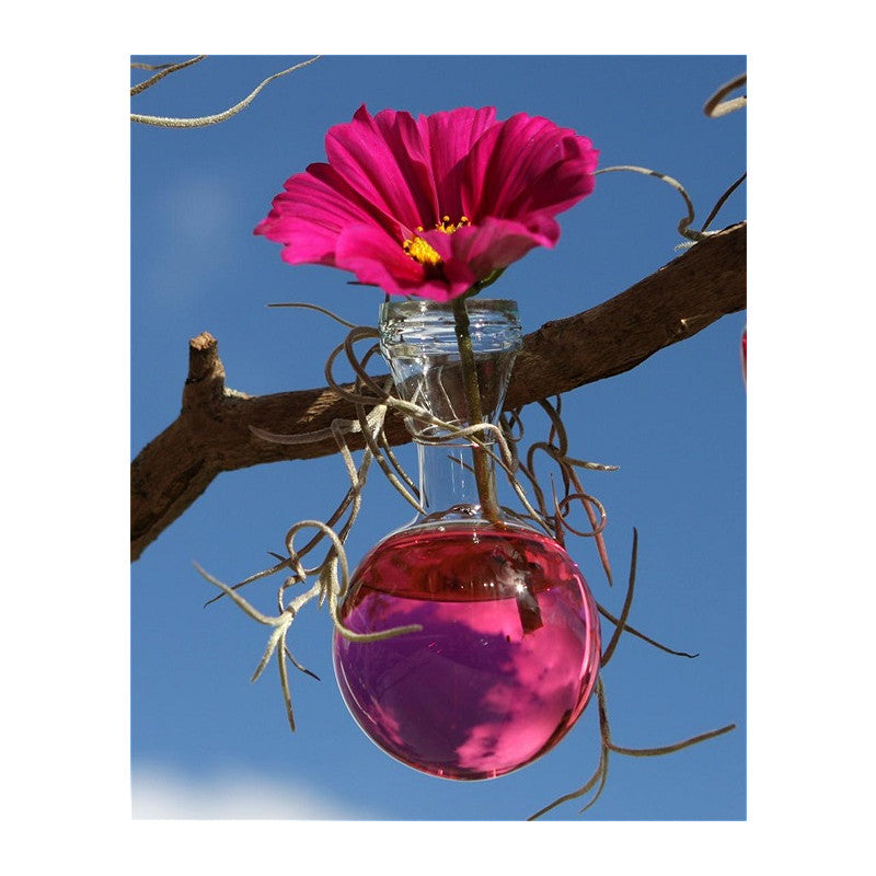 Vaso a sfera Ø 5 cm x 15,9 cm (53 pezzi) [IFS-28011]