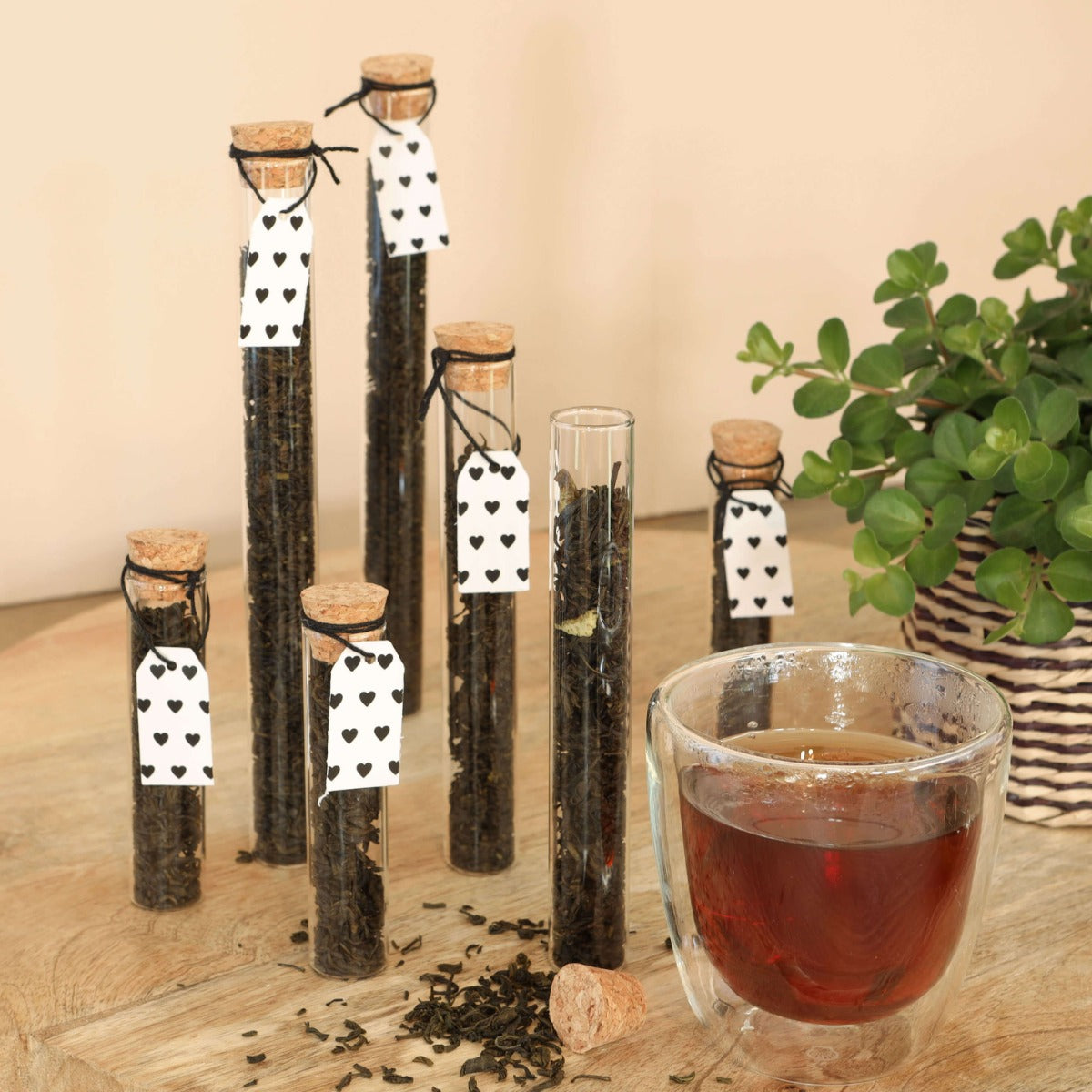 Tubo di vetro Ø2cm and 19cm alto (12 pcs.) [IFS-29108]