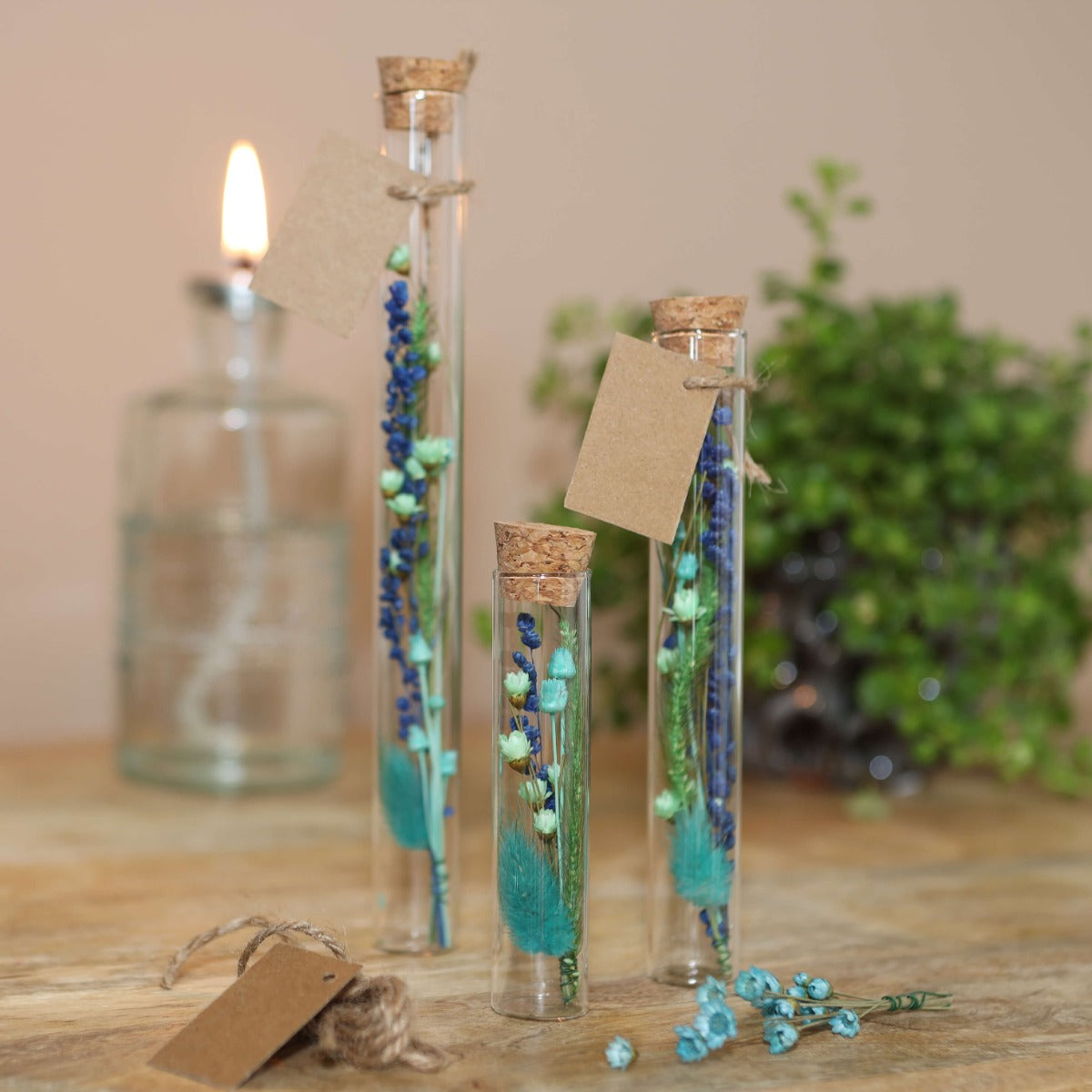 Tubo di vetro Ø2cm and 19cm alto (12 pcs.) [IFS-29108]