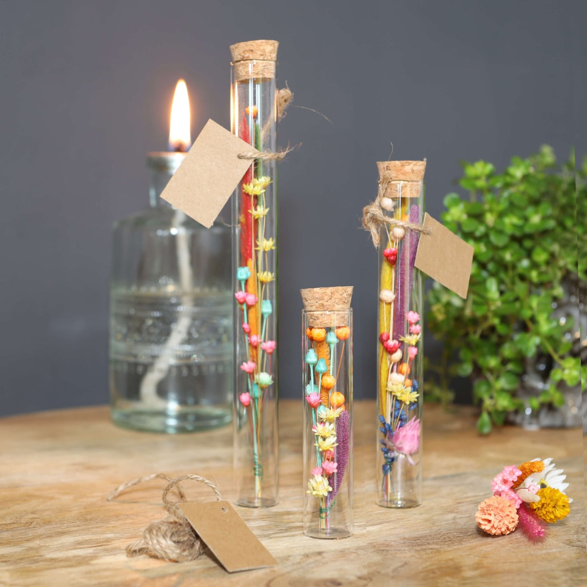 Tubo di vetro Ø2cm and 19cm alto (12 pcs.) [IFS-29108]