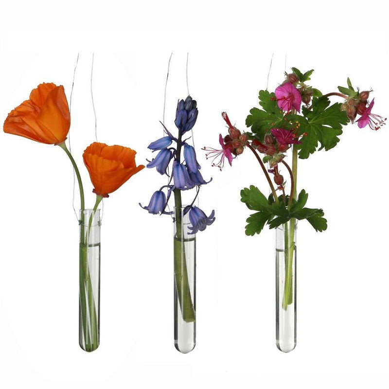 Tubo di vetro con 2 fori Ø 1,5 cm, H. 10 cm (12 pezzi) [IFS-29111]