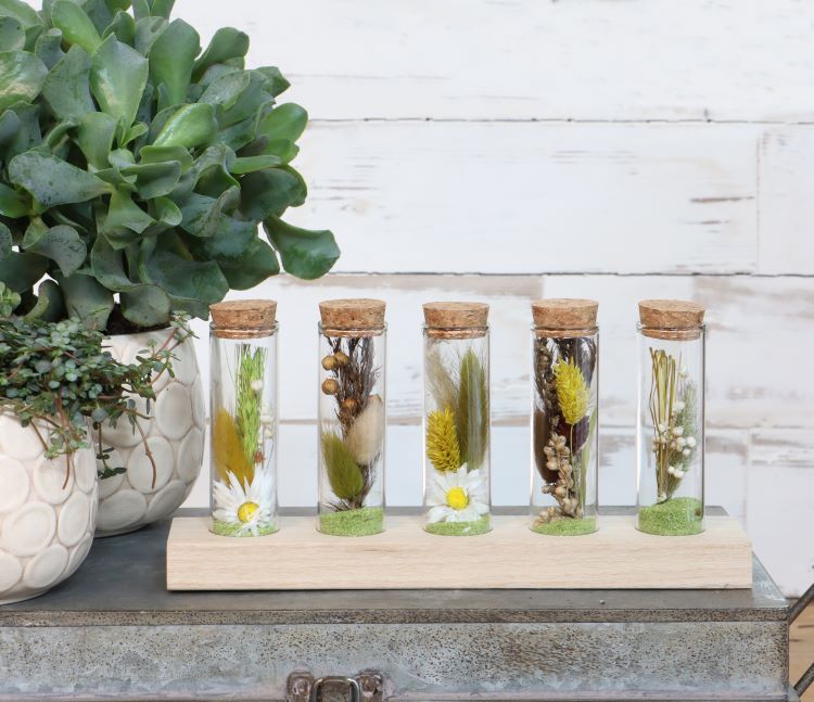 Glass tubes Ø3cm 5 tubes on wooden board (6 sets) [IFS-29147]