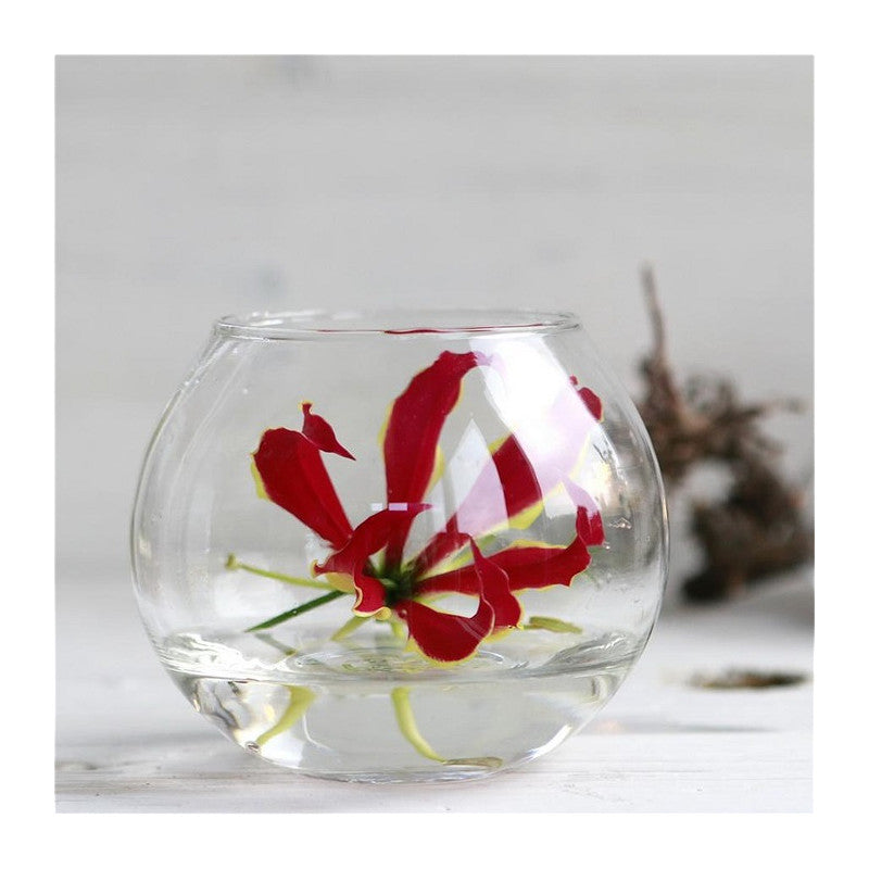 Vaso a sfera in vetro Ø 10 cm, H. 8 cm (6 pezzi) [IFS-29182]