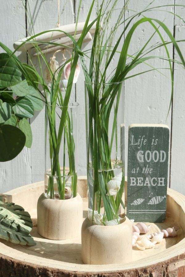 Base di legno con provetta Ø5cm e alta 18cm (1 pz) [IFS-29218]