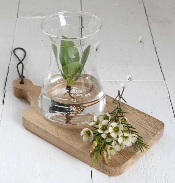 Erlenmeyer di vetro da laboratorio Ø8cm e alto 11cm (1 pz) [IFS-29256]