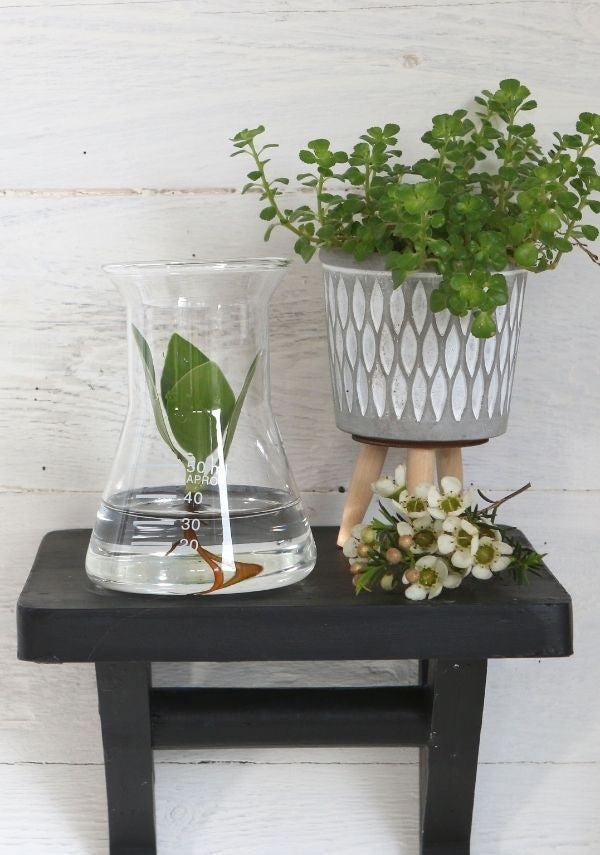 Erlenmeyer di vetro da laboratorio Ø8cm e alto 11cm (1 pz) [IFS-29256]