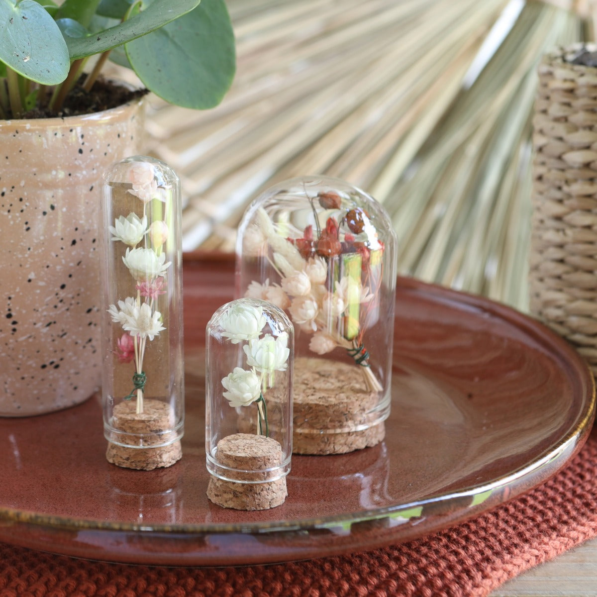 Glass mini stolp Ø2cm and 7cm high with cork (12 pcs.) [IFS-29409]