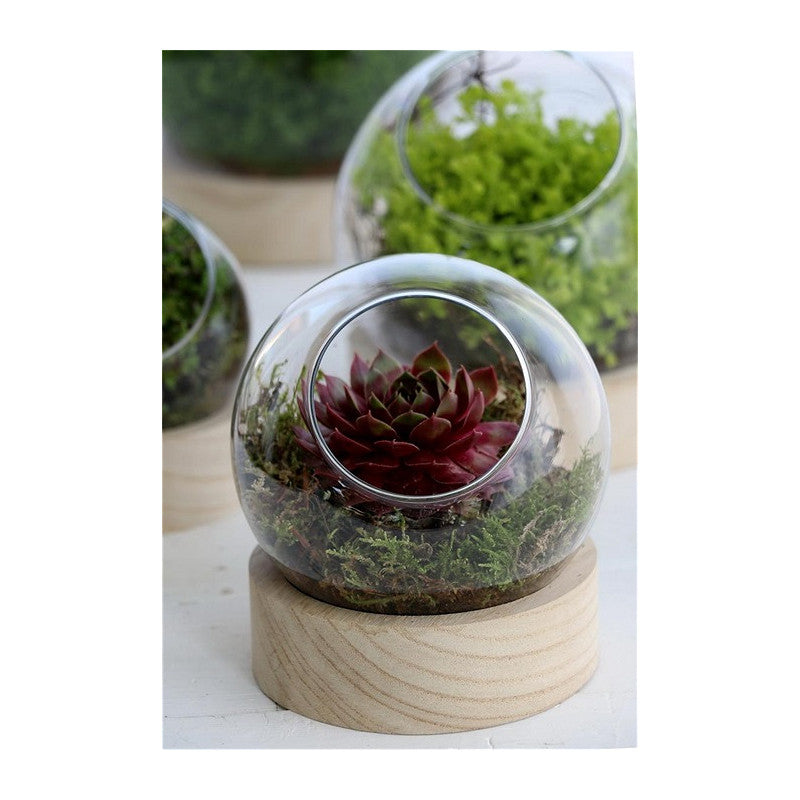 Vaso a sfera in vetro con base in legno Ø 13 cm, H. 14 cm (1 pezzo) [IFS-29412]