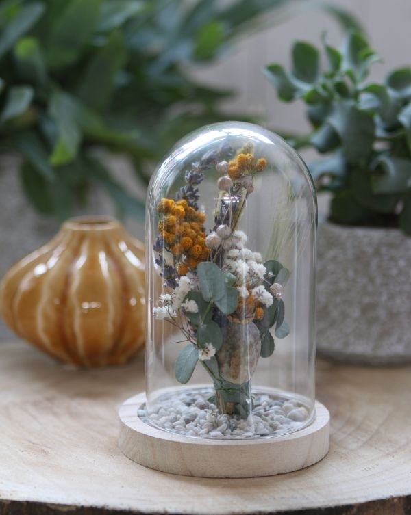 Campana di vetro con base di legno Ø12cm e 16 cm di altezza (1 pz) [IFS-29423]