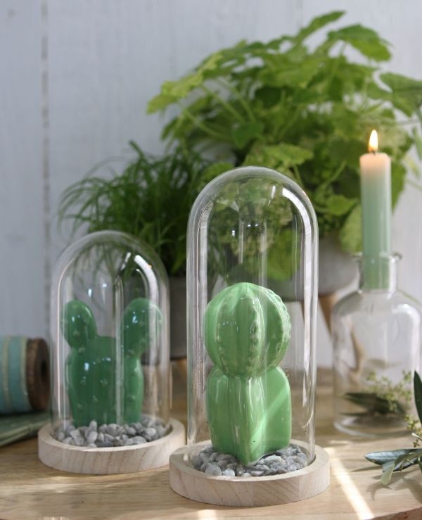 Campana di vetro con base di legno Ø10cm e alta 20 cm (1 pz) [IFS-29429]