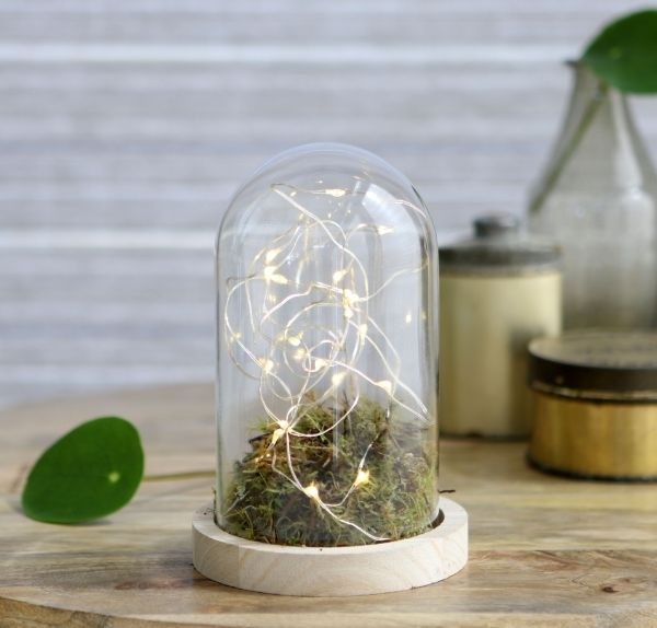 Campana di vetro con base di legno Ø10cm e alta 15 cm (1 pz) [IFS-29428]