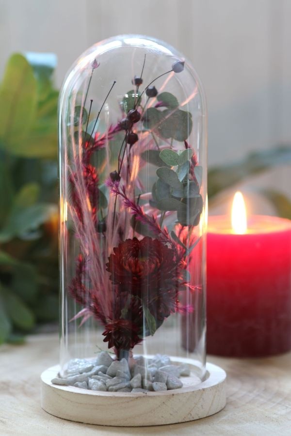 Campana di vetro con base di legno Ø10cm e alta 20 cm (1 pz) [IFS-29429]