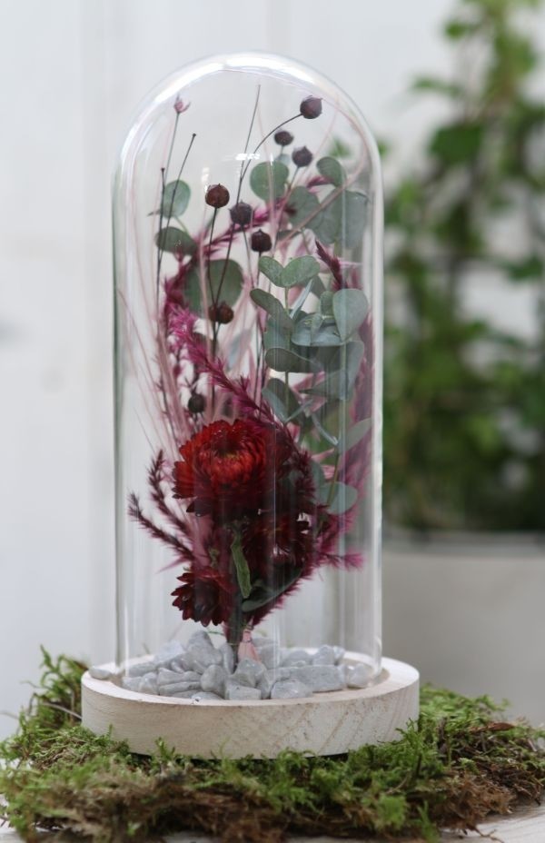 Campana di vetro con base di legno Ø10cm e alta 20 cm (1 pz) [IFS-29429]