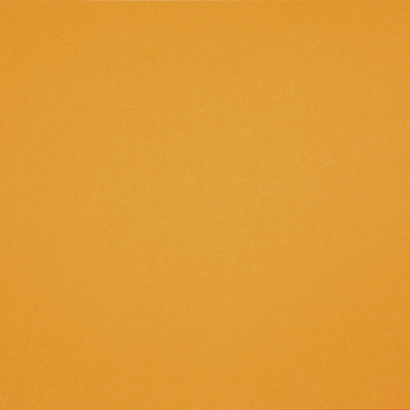 Cartoncino francese, A4, foglio 210x297 mm, 160 g, canary, 1 fgl. [HOB-294400]