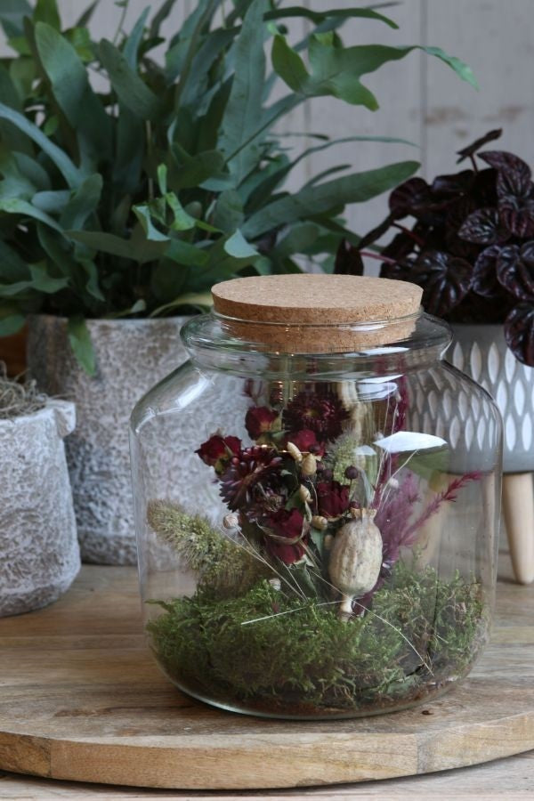 Barattolo di vetro con sughero Ø18cm e alto 18 cm (1 pz) [IFS-29452]