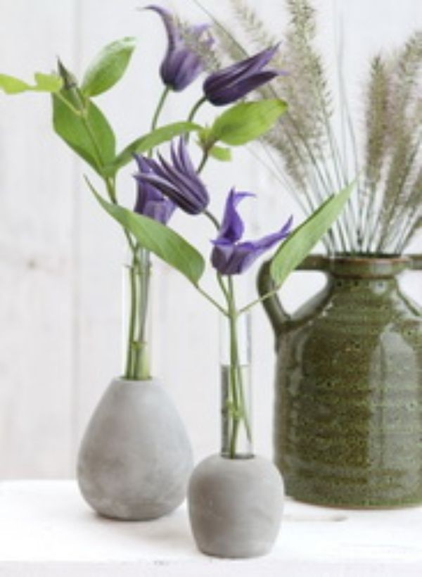 Base di cemento con Provetta in vetro Ø6cm e alta 15 cm (1 pz) [IFS-29475]