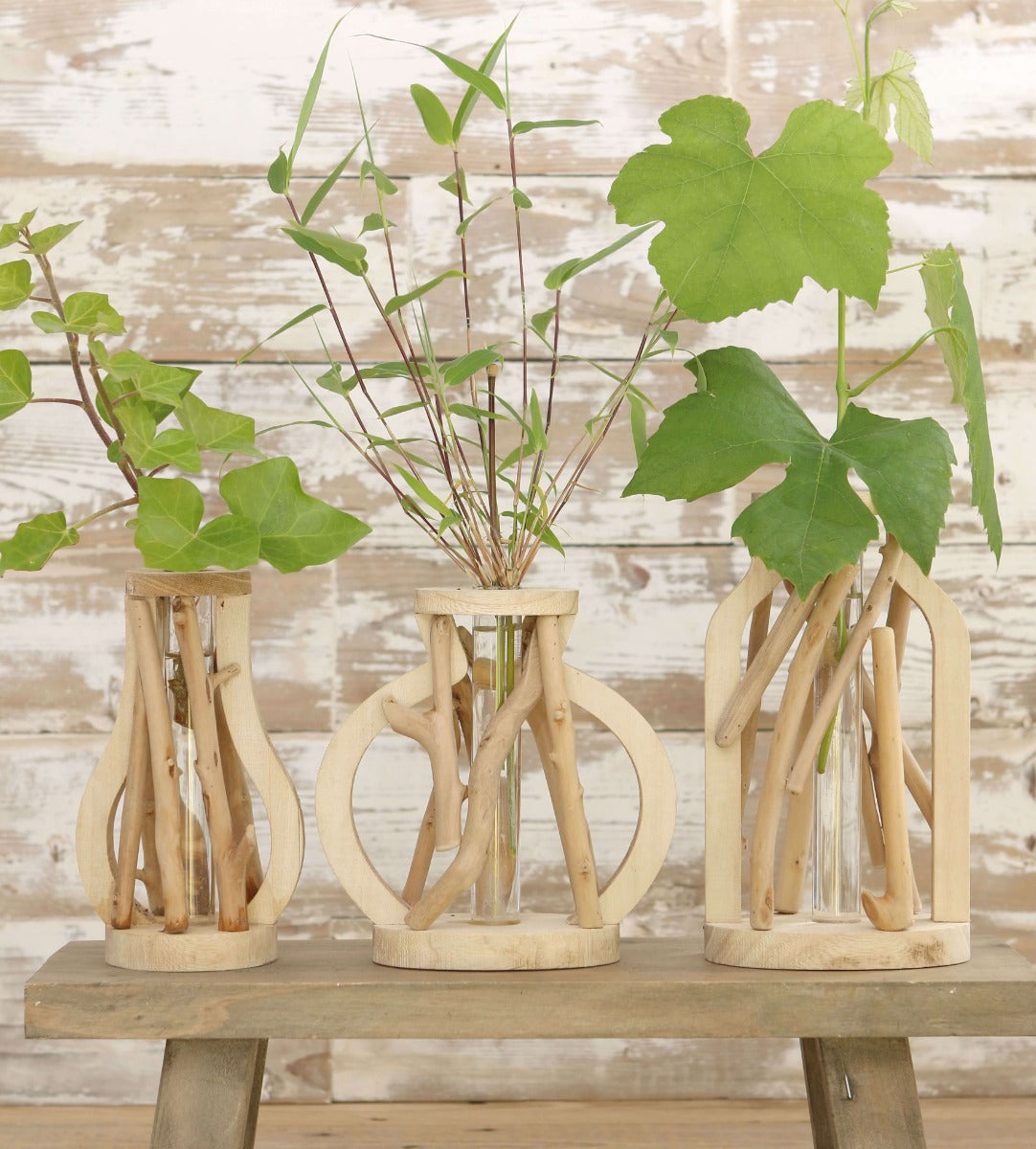 Test tube with stand of driftwood medium (1 pcs.) [IFS-29647]