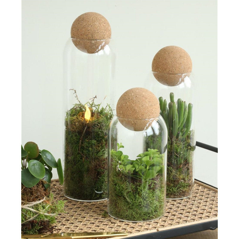 Terrario in vetro Sienna Ø 8,5 cm, H. 24 cm (6 pezzi) [IFS-29715]