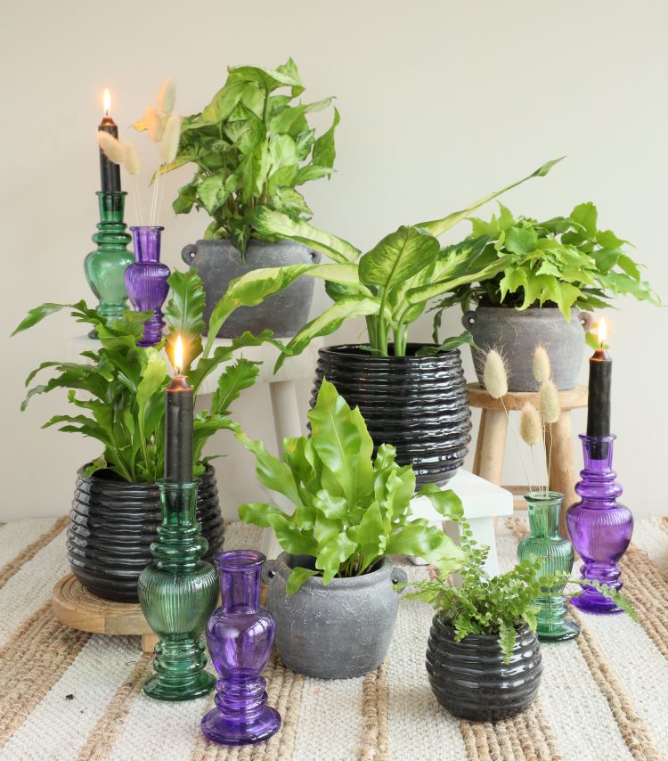 Vaso Verde Venezia H: 15,5 x Ø5,7 cm (12 pz) [IFS-29895]