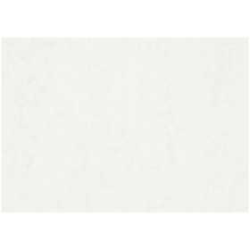 Carta per acquerello, A2, foglio 420x594 mm, 200 g, bianco, 100 fgl./ 1 conf. [HOB-22404]