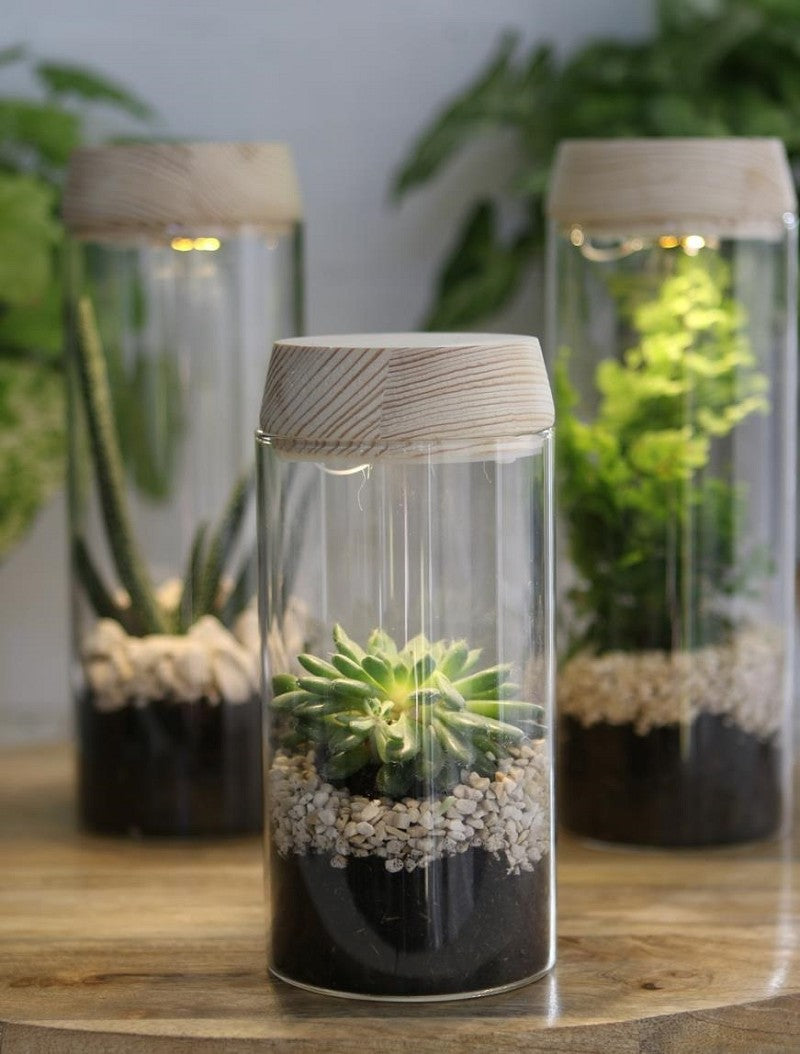 Provetta Ø8 h: 18 cmw. coperchio solare in sughero (1 pz) [IFS-30173]