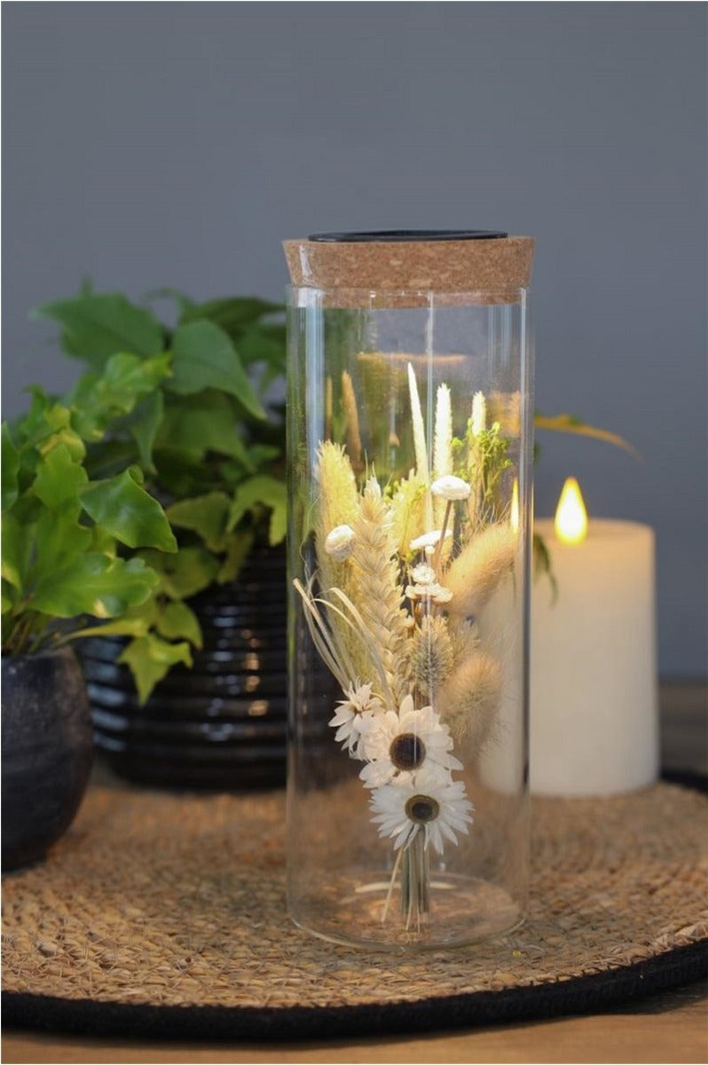 Provetta Ø8 h: 23 cm w. coperchio solare in sughero (1 pz) [IFS-30174]