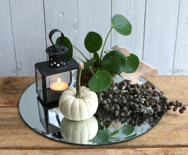 Piastra specchio rotonda Ø58cm bordo smussato (1 pc) [IFS-30204]