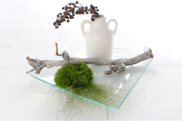 Vassoio in vetro Quadrato 25x25x2cm di spessore (1 pc) [IFS-30264]