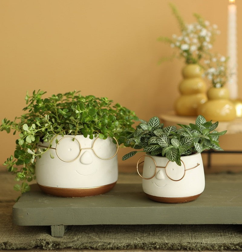 Vaso di fiori con occhiali Oro Ø12 h: 9 cm (6 pz) [IFS-33097]