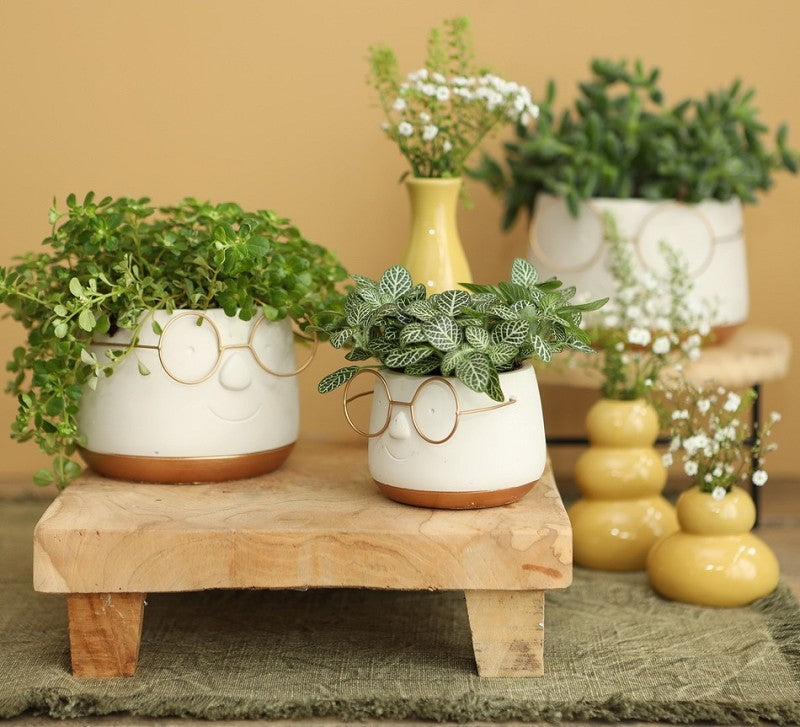 Vaso di fiori con occhiali Oro Ø12 h: 9 cm (6 pz) [IFS-33097]