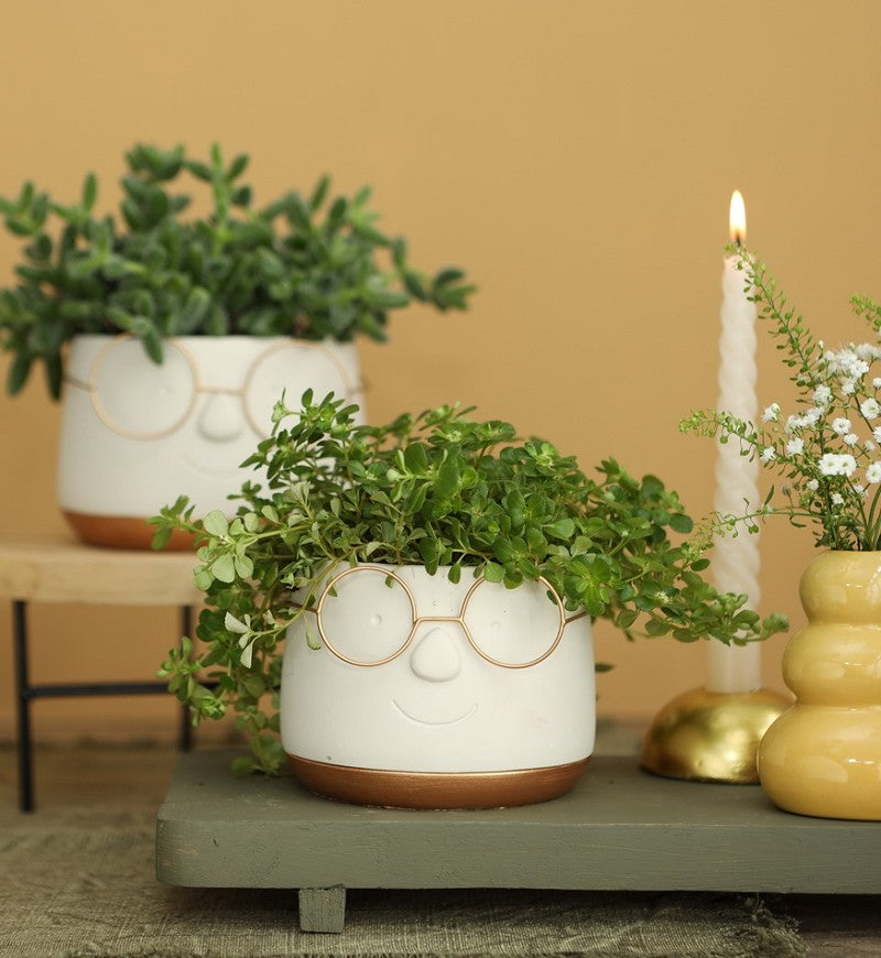 Vaso di fiori con occhiali Oro Ø12 h: 9 cm (6 pz) [IFS-33097]