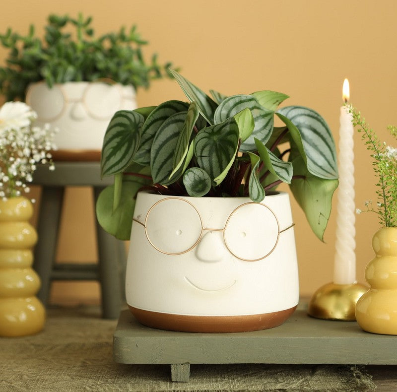 Vaso di fiori con occhiali Oro Ø16 h: 11,5 cm (3 pz) [IFS-33099]