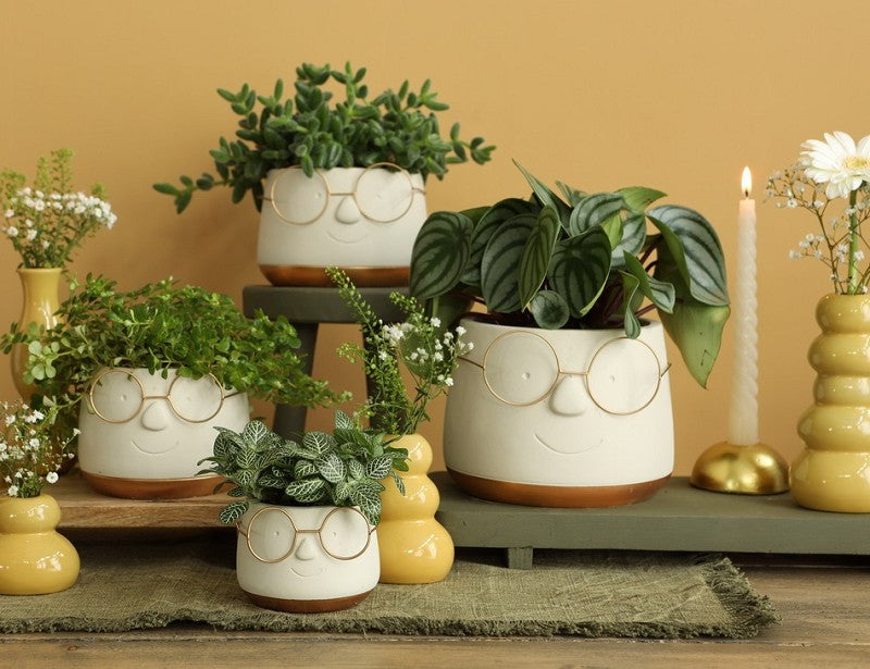 Vaso di fiori con occhiali Oro Ø16 h: 11,5 cm (3 pz) [IFS-33099]