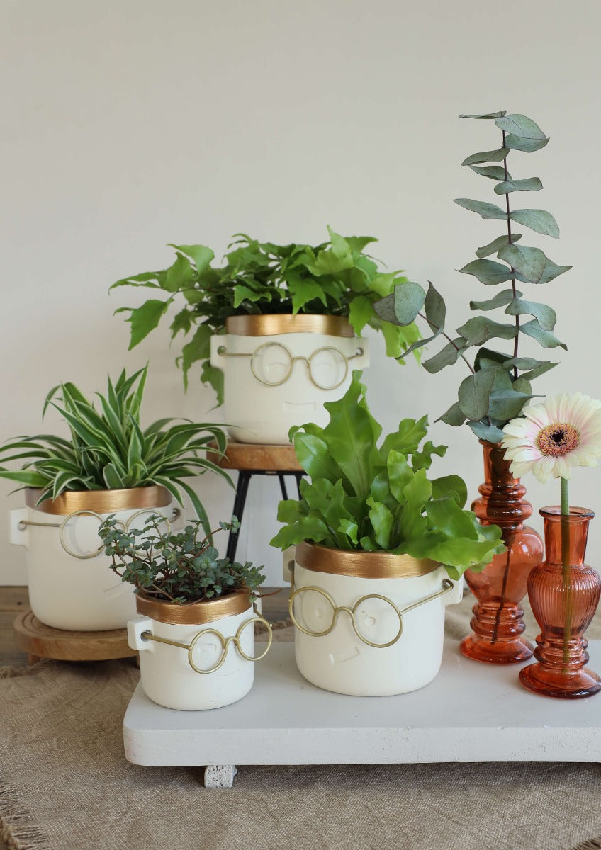 Vaso di fiori Harry Oro 2 ass. Ø14 h:13,5 cm (6 pz) [IFS-33185]