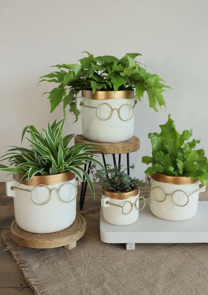 Vaso di fiori Harry Oro 2 ass. Ø12 h:11,5 cm (6 pz) [IFS-33184]