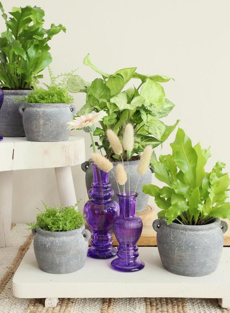 Vaso anfora 10x8,2x6,5 cm (6 pz) [IFS-33242]