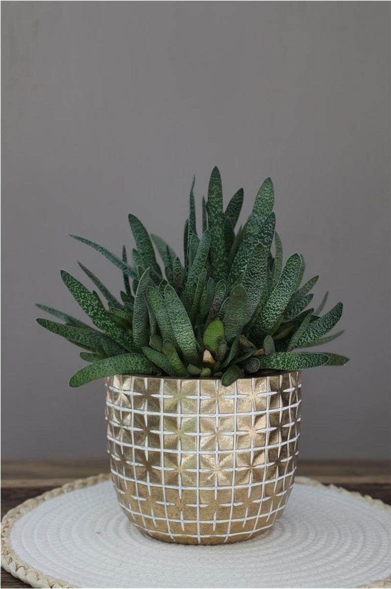 Pentola di Hanoi Ø17,6 x h:14,4 cm Oro (3 pz) [IFS-33855]